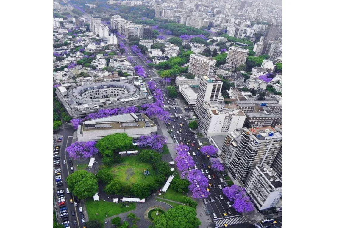 Contacto Torres de Buenos Aires